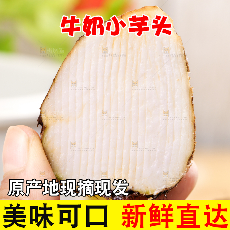 手里拿着新鲜小芋头