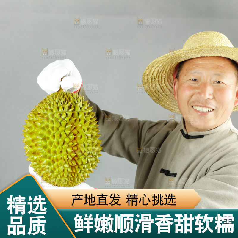 农民手里拿着泰国甲仑榴莲