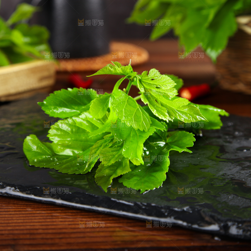 黑石板上放着新鲜桑叶