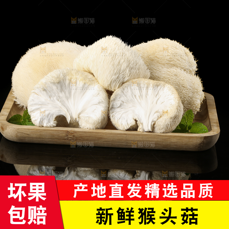 盘子里装着新鲜猴头菇