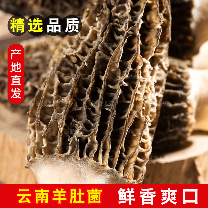 木板上的野生羊肚菌