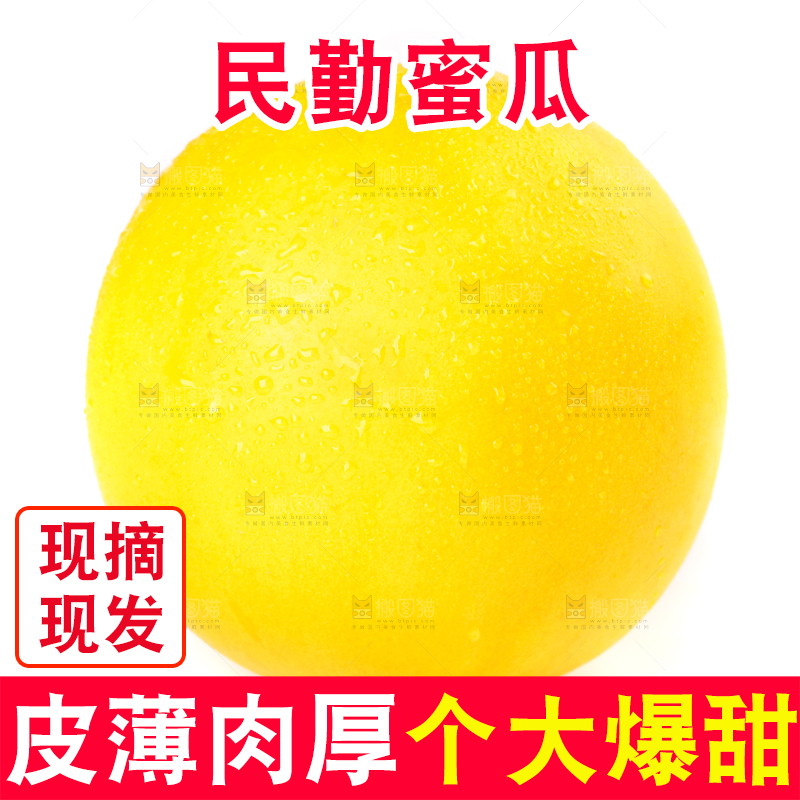 白底上的黄河蜜瓜