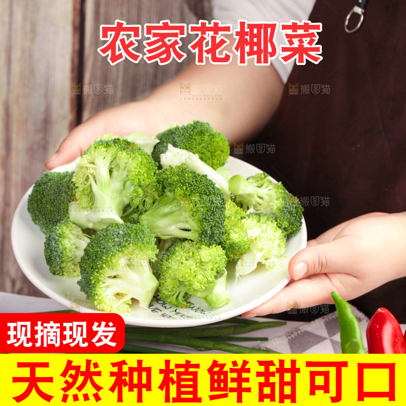 手拿一盘新鲜西兰花