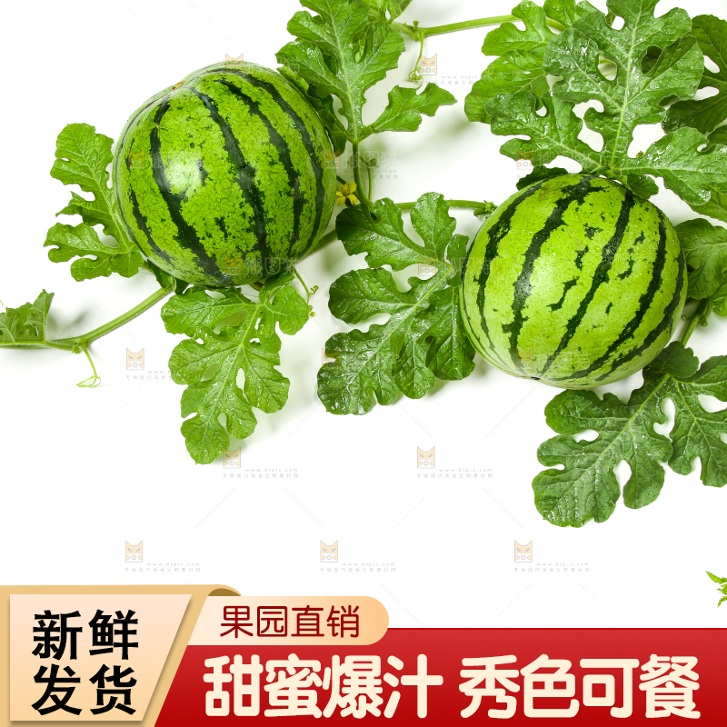 白底上放着新鲜的西瓜