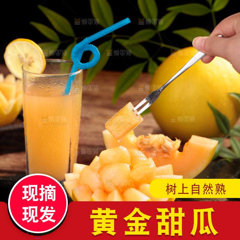叉子叉着黄河蜜瓜果肉