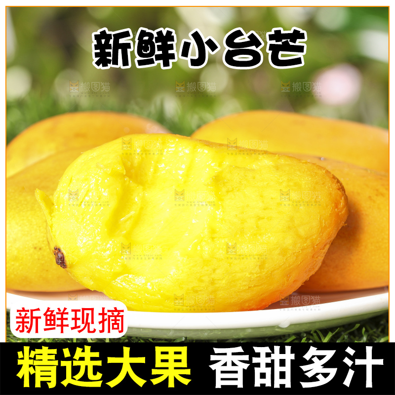 草地上放着一盘小台芒