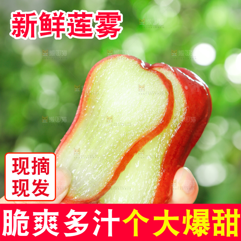 手拿切开的新鲜莲雾