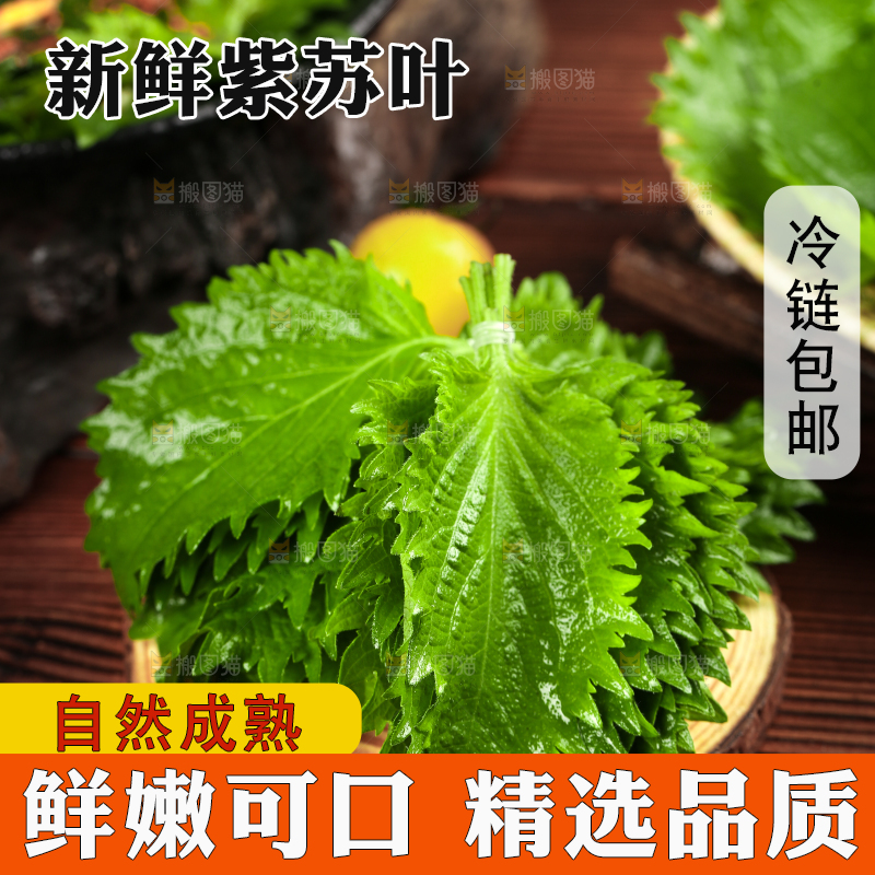 木板上的青紫苏叶