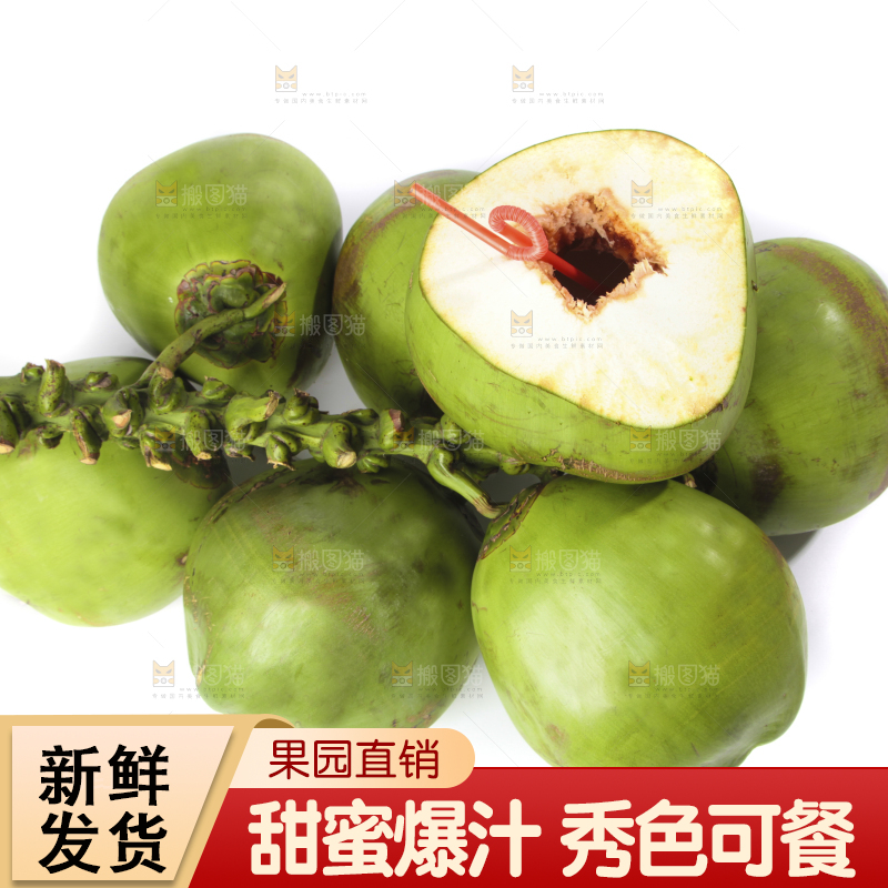 新鲜的泰国椰青放在白底上
