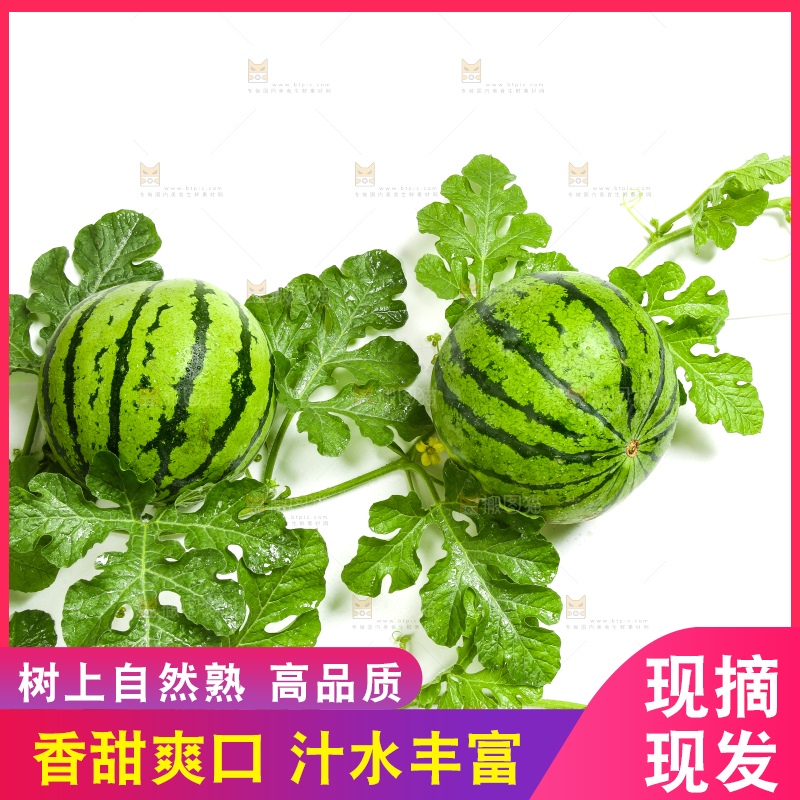 白底上放着新鲜的西瓜