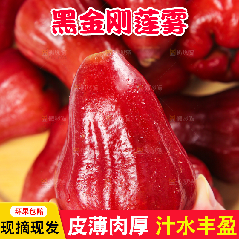 手拿新鲜莲雾