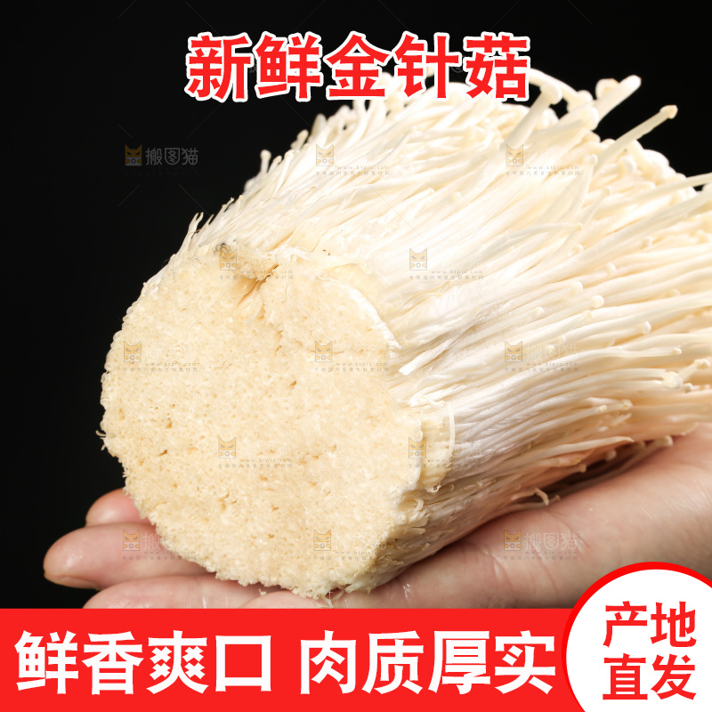 手拿新鲜金针菇
