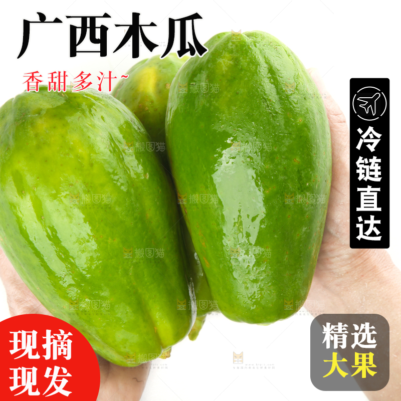 手里拿着广西青木瓜