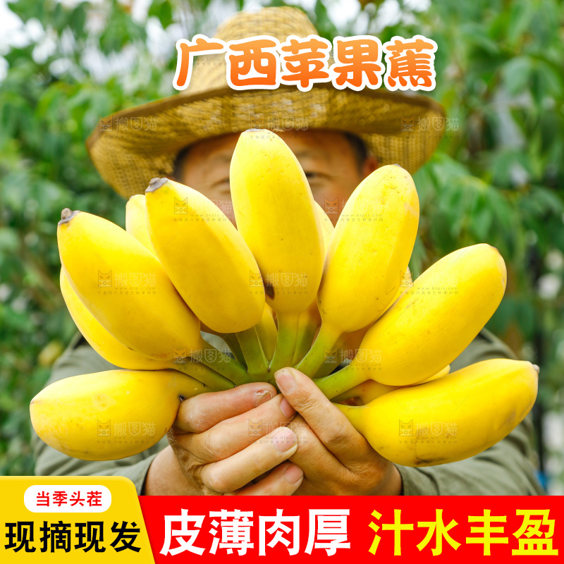手拿一把新鲜的苹果蕉
