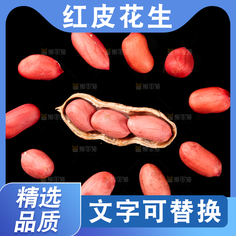 东北红皮花生放在黑底上