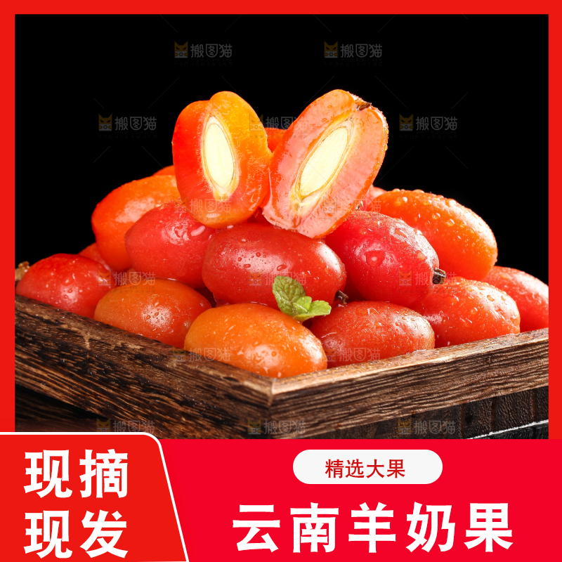 一盘野生羊奶果放在黑底上