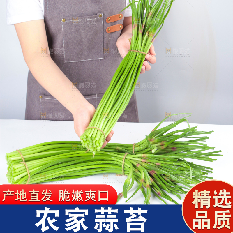 手拿新鲜蒜毫