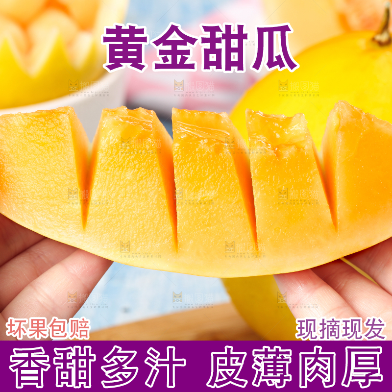 手拿切开的黄河蜜瓜