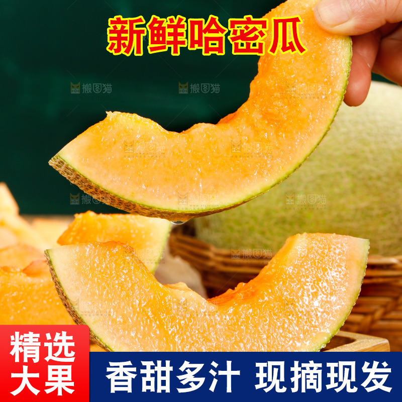 手拿切开的新疆哈密瓜