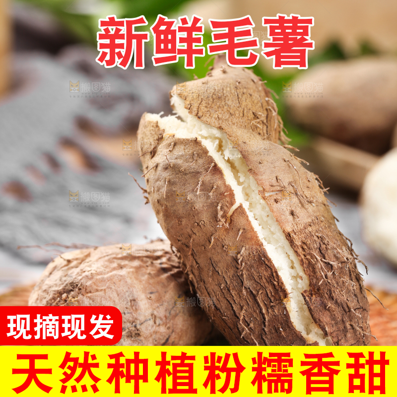 木底上放着蒸熟的毛薯