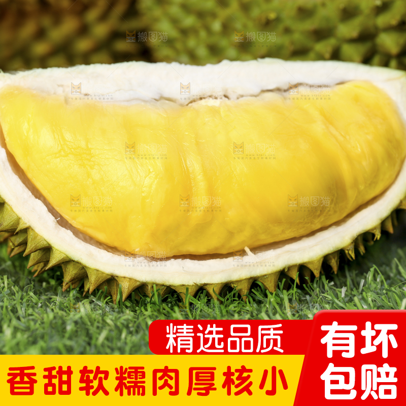草地上摆放着甲仑榴莲