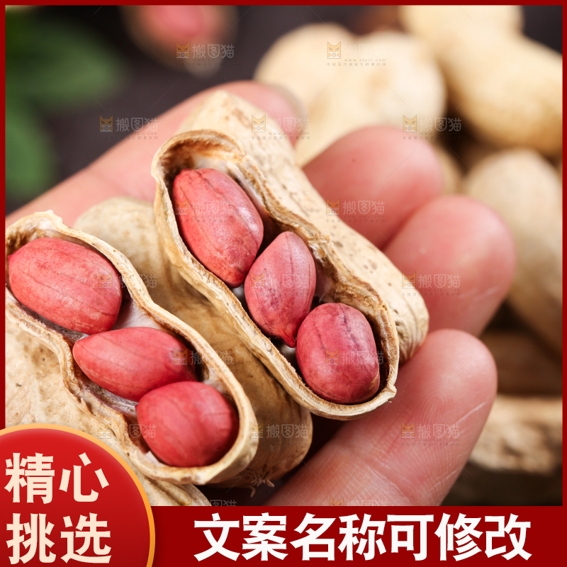 手拿新鲜红皮花生