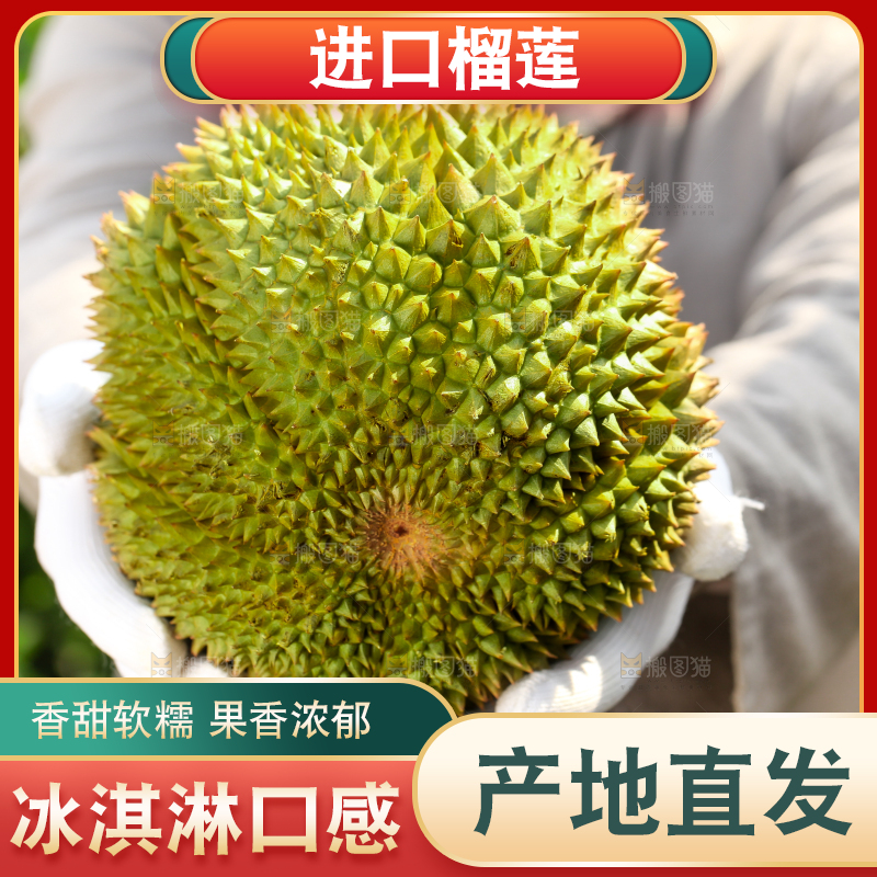 农民手里拿着泰国甲仑榴莲