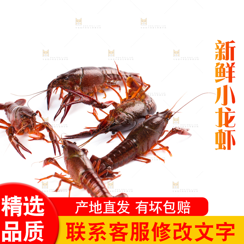 白底上放着潜江小龙虾