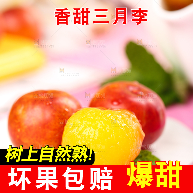 白石板上摆放着钱排三月李