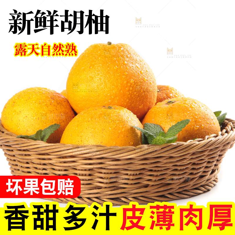 篮子里的胡柚