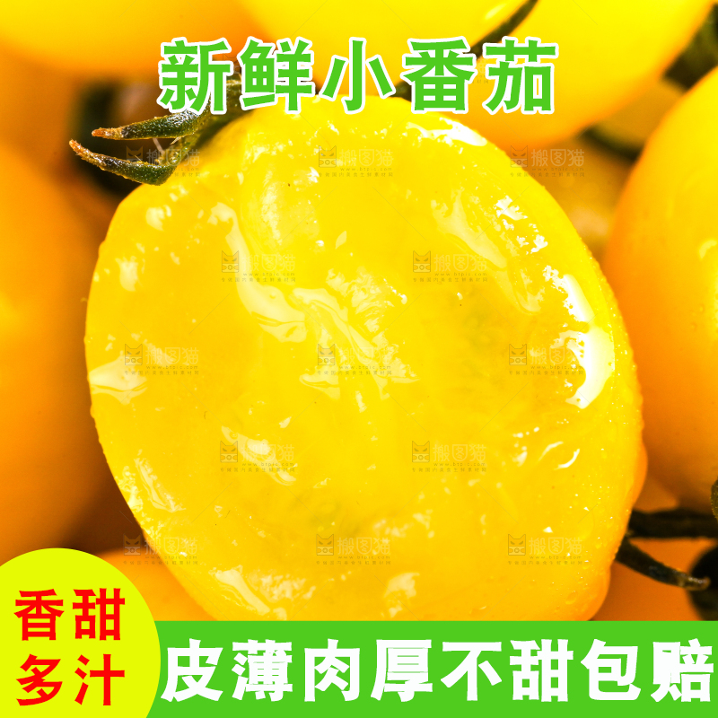 浅底上的黄金圣女果