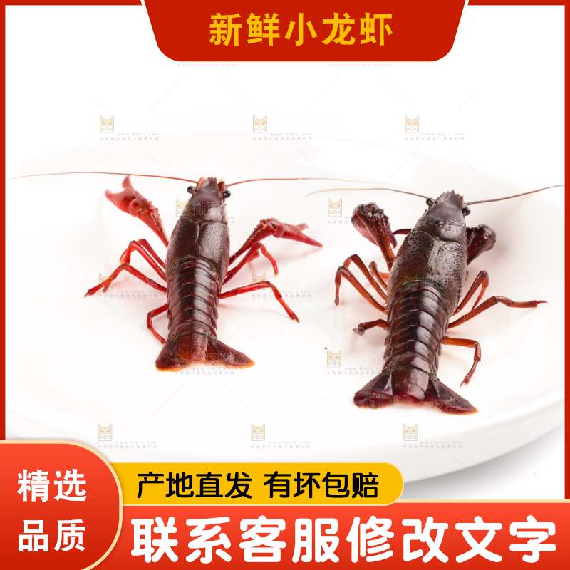 盘子里的鲜活龙虾