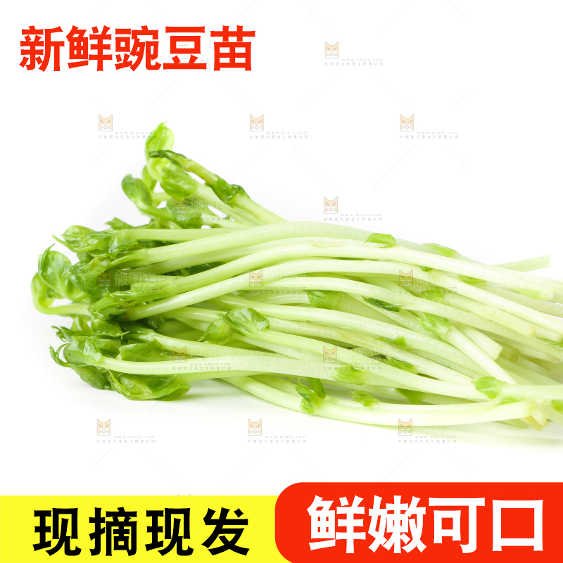 白底上放着豌豆芽菜