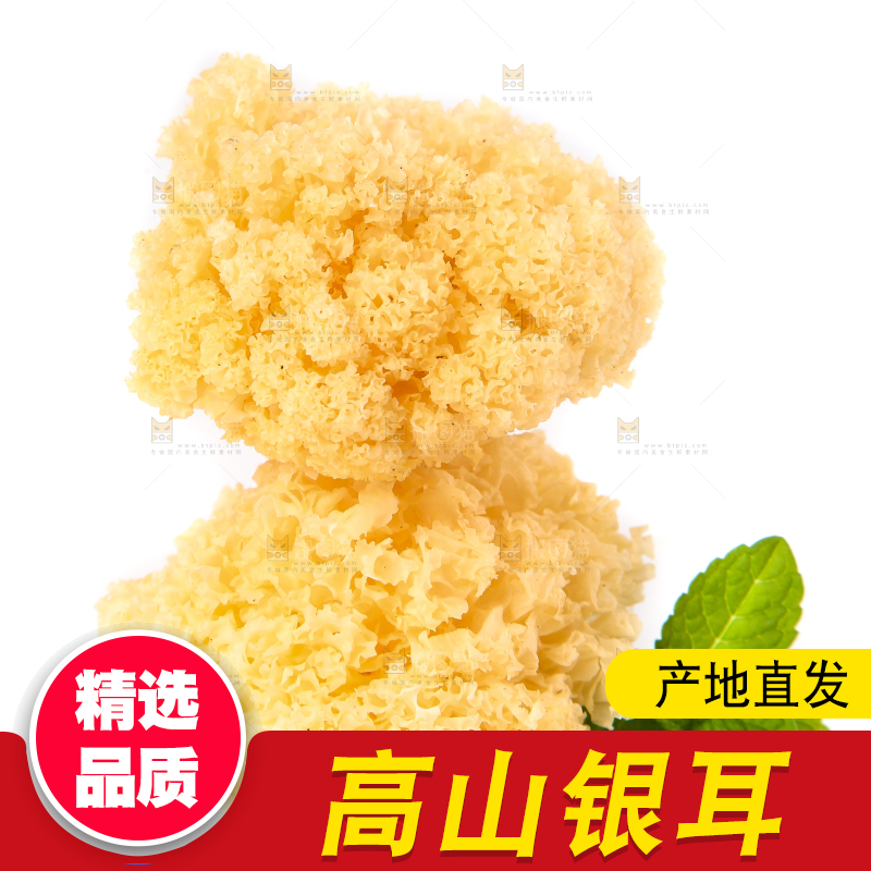 白底上的雪银耳