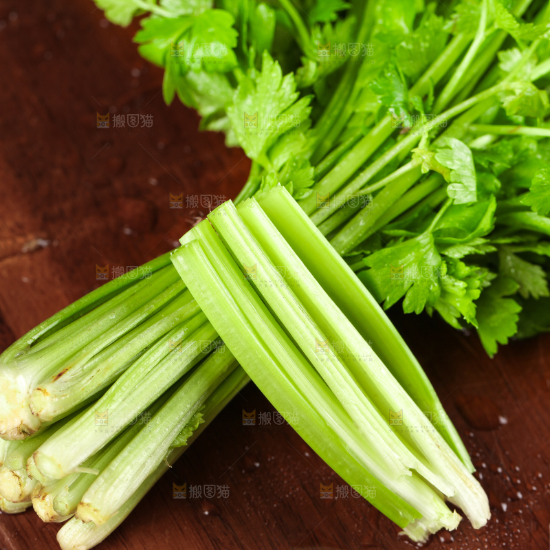 深底上的新鲜小香芹