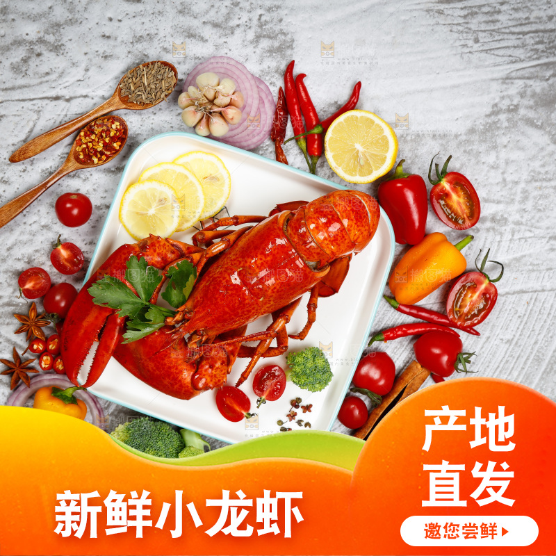 龙虾背景纹理