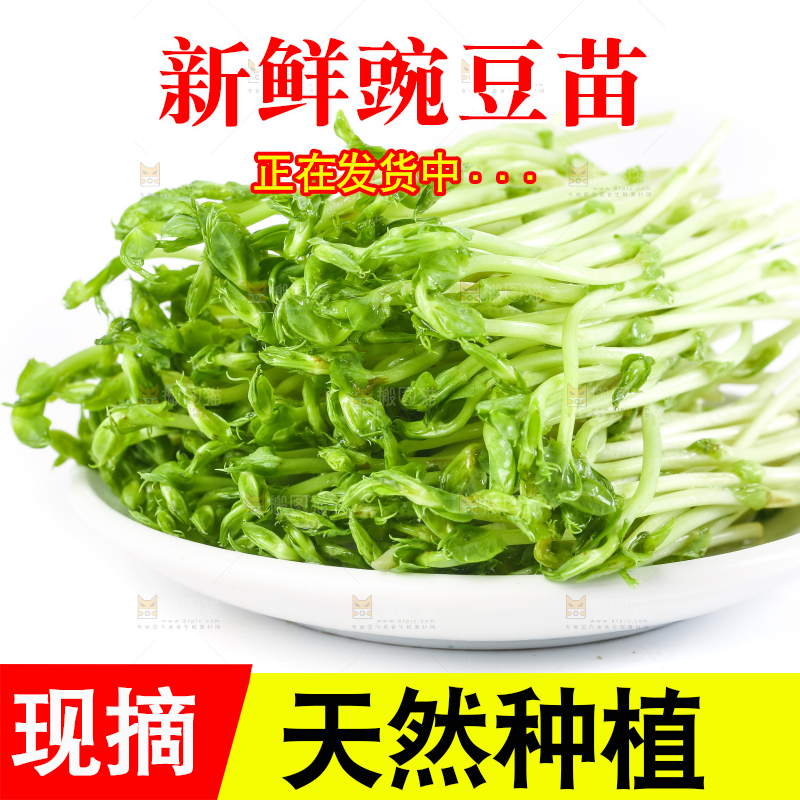 盘子里装着新鲜豌豆芽