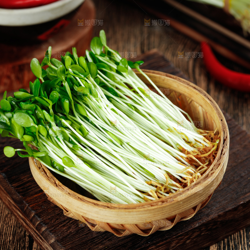 木底上放着新鲜的香椿芽苗