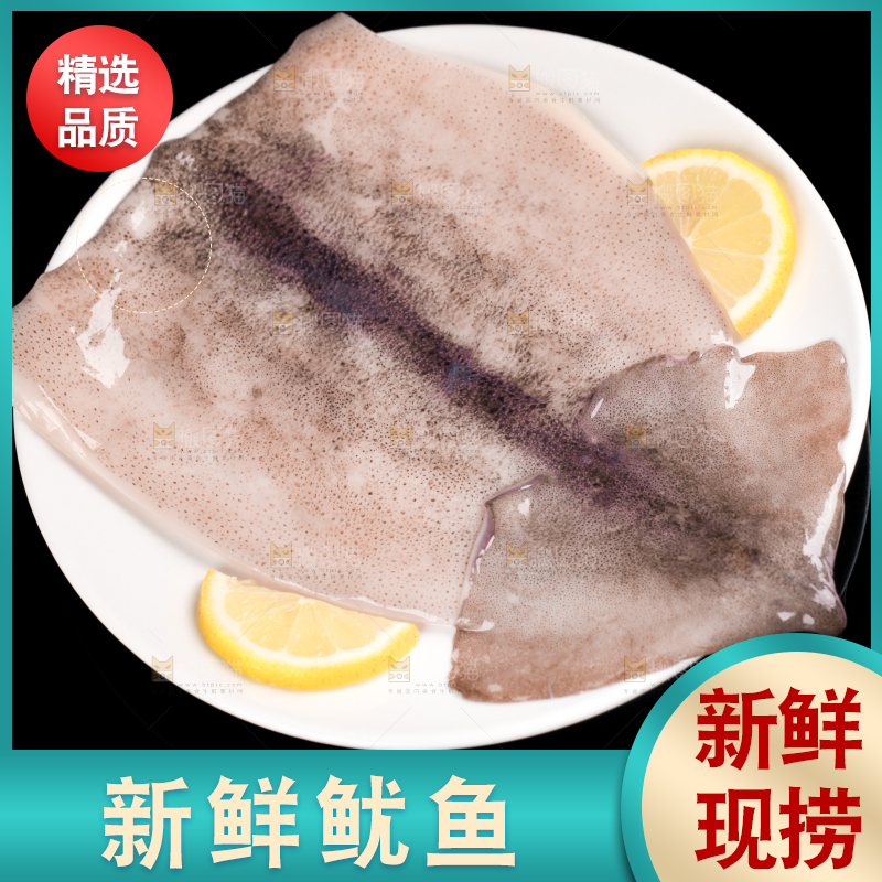 黑底上的野生大鱿鱼