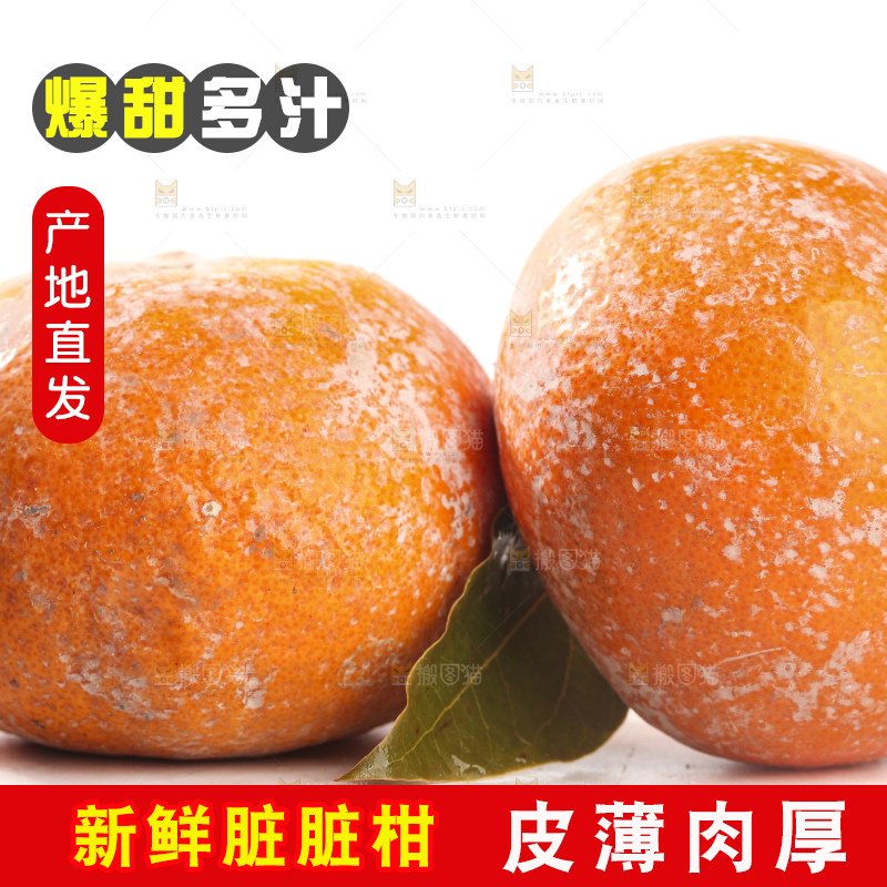 白底上的广西茂谷柑