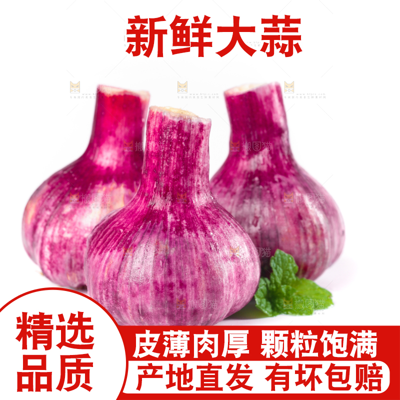白底上放着紫皮大蒜