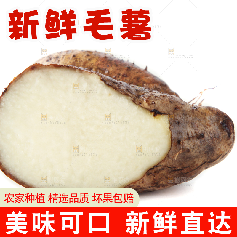 白底上切开的湛江毛薯