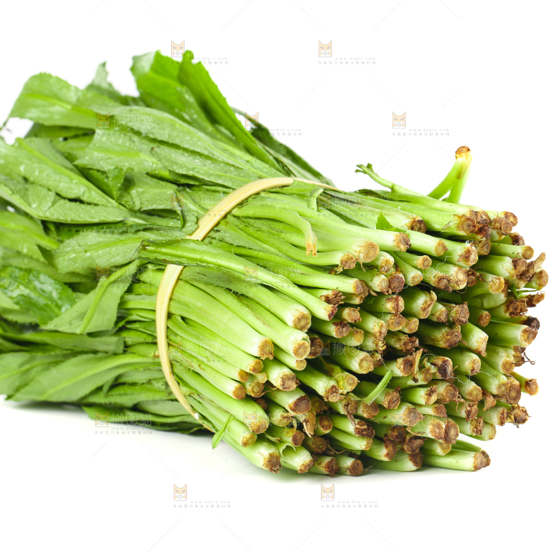 一捆云南大香菜放在白底上