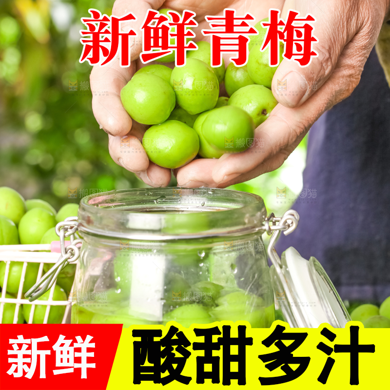 手拿新鲜青梅果