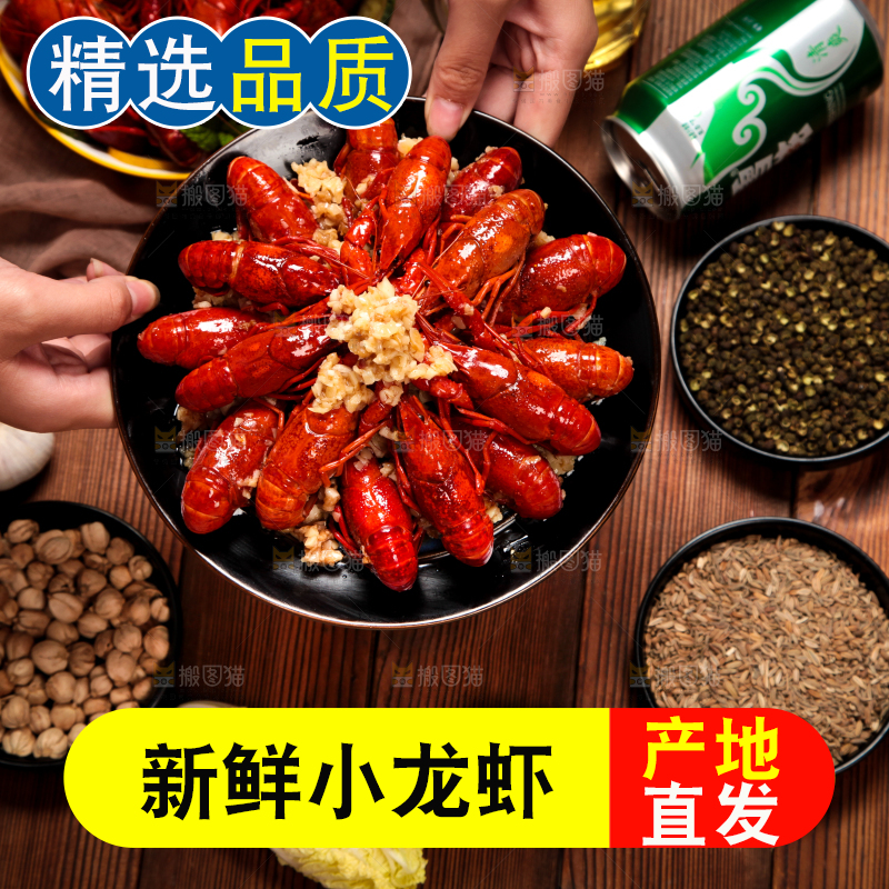 手端一盘蒜蓉龙虾