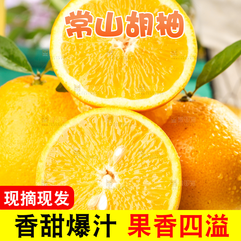 蓝底上的常山胡柚