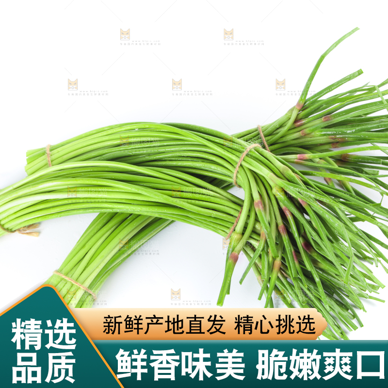 白底上的鲜嫩蒜苔