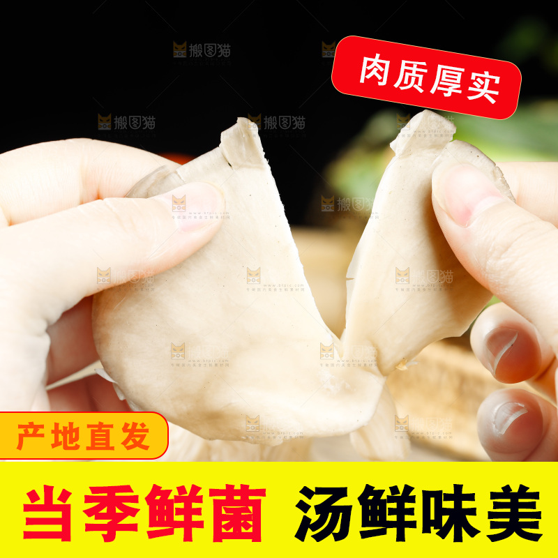 手拿撕开的平菇