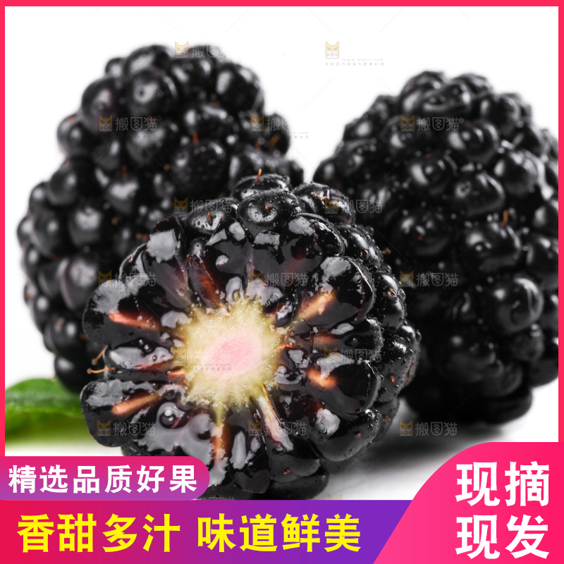 白底上切开的黑树莓