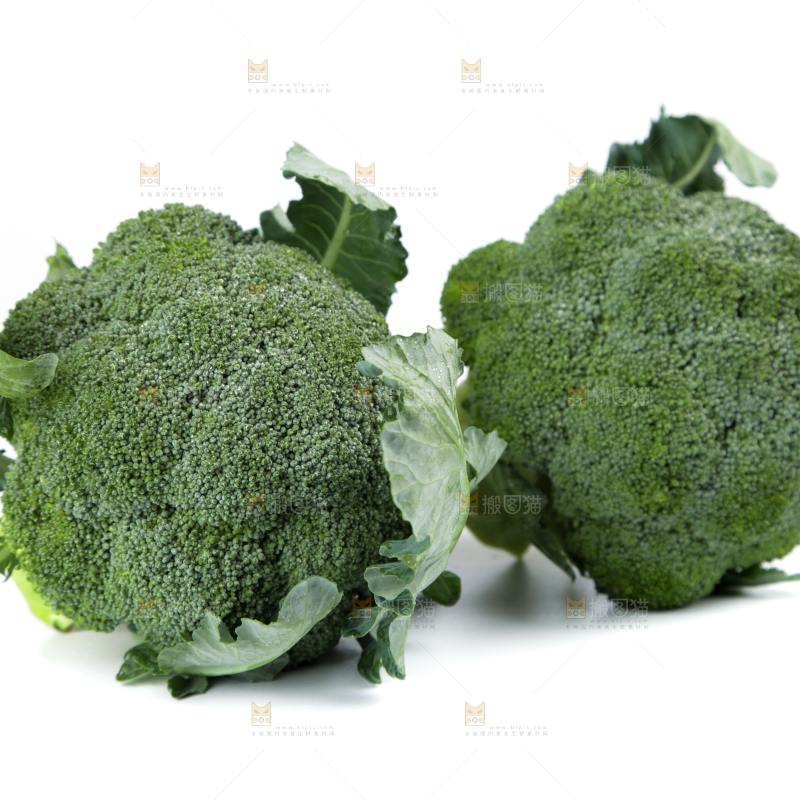 白底上的新鲜西兰花